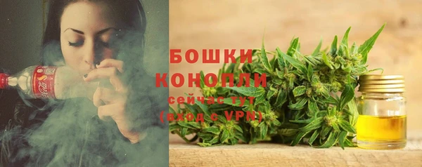 бошки Кодинск