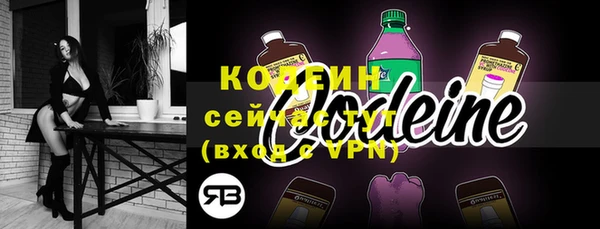 крисы Козельск