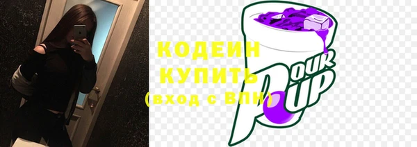 крисы Козельск