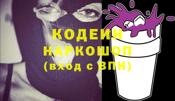 крисы Козельск