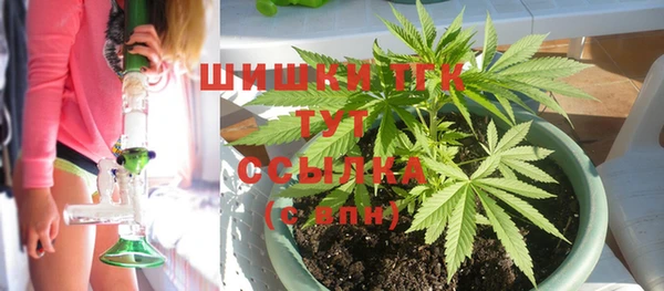 бошки Кодинск