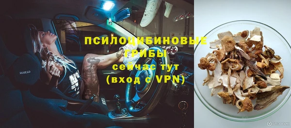 бошки Кодинск
