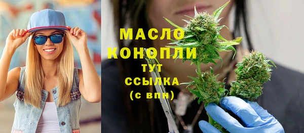 крисы Козельск