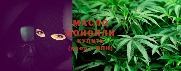 крисы Козельск