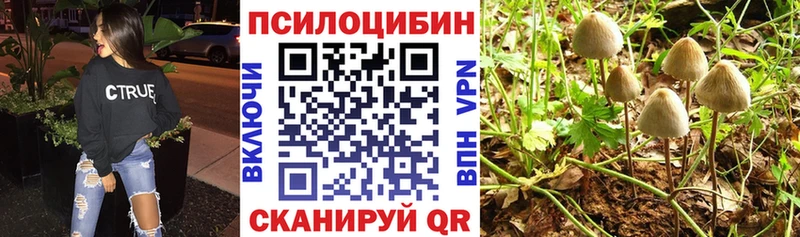 Галлюциногенные грибы мицелий  Купить закладки  Дно 